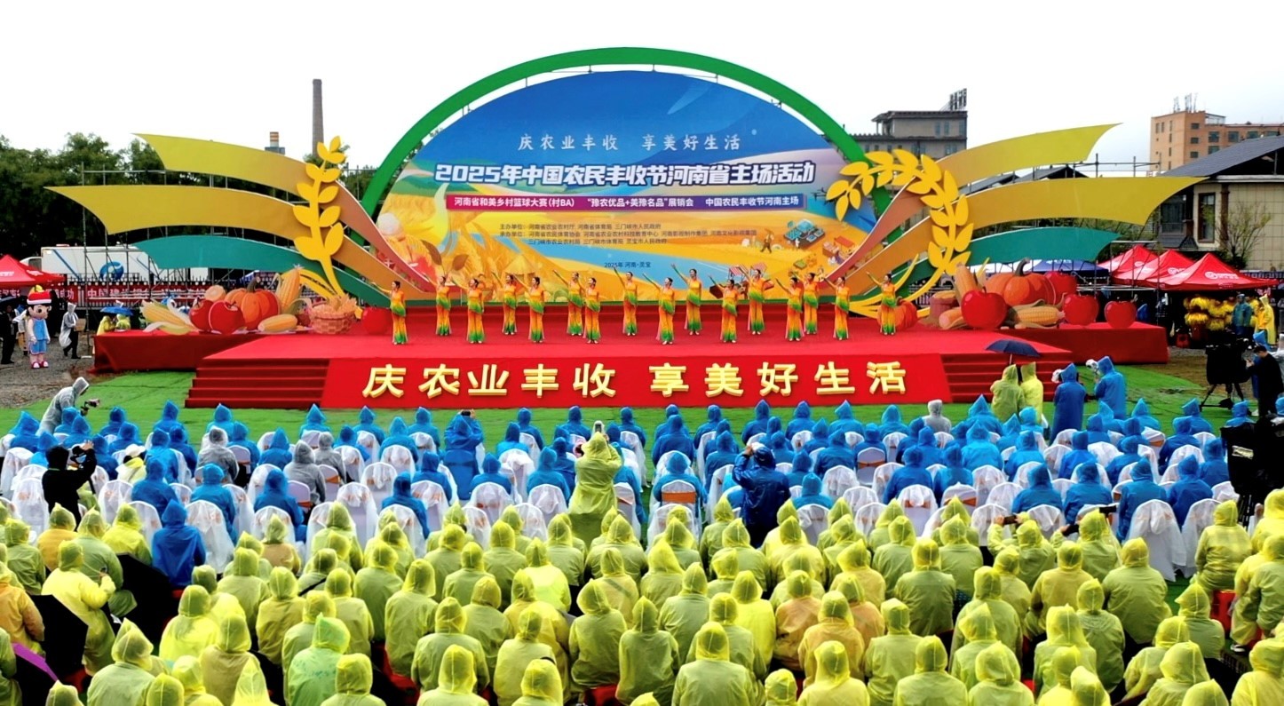 民政府主办, 日电