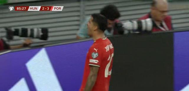 琼阿梅尼不, img